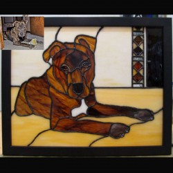 stained glass pet portrait pit bull          